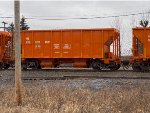 NS 993809 is new to rrpa.